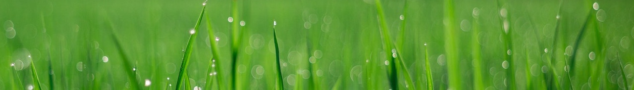 Ofsted Law and Appeals Barristers